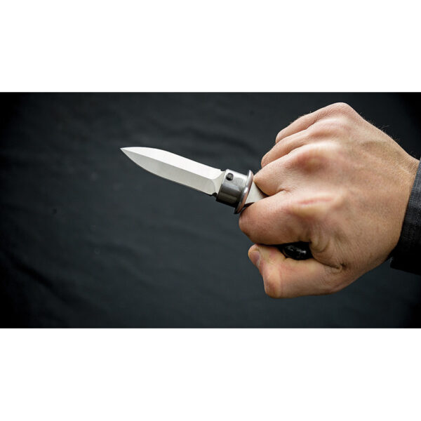 Espada Dragon King Sword Cane Carbon Fiber SD12150