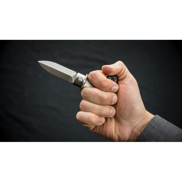 Espada Dragon King Sword Cane Carbon Fiber SD12150