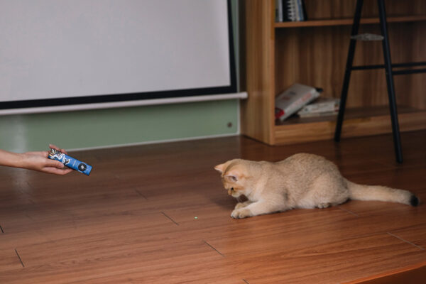 Linterna Olight Arkfeld Pro 3R Paw Edition ARKPROPAW3R