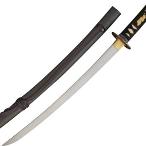 Espada CAS Hanwei Raptor Wakizashi SH2422